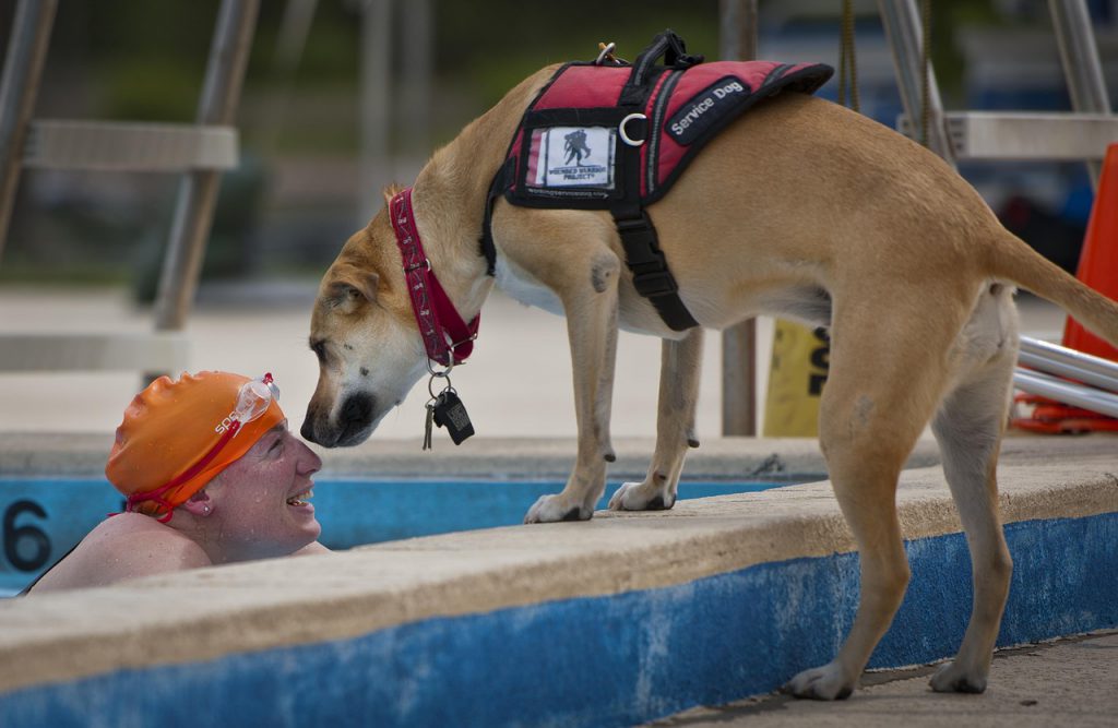 Woman in a pool with a service dog on the edge