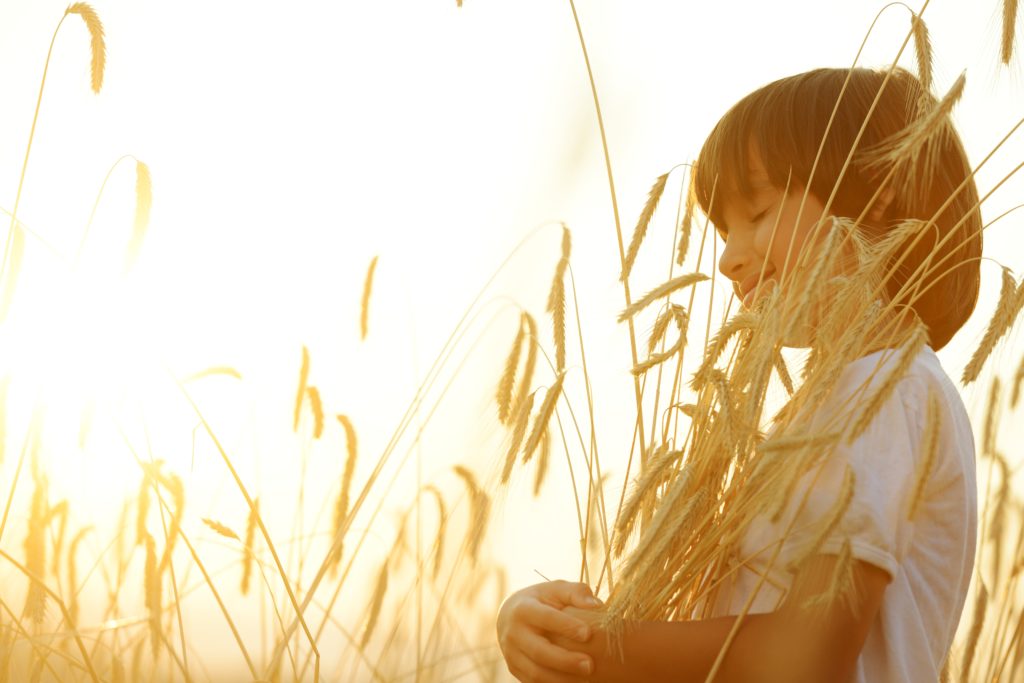 boy in wheat field with sun shining brightly